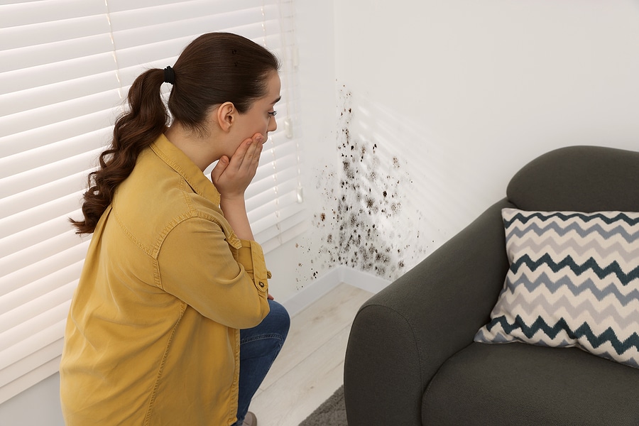 Maintain a Healthier Household With Mold Sampling Services