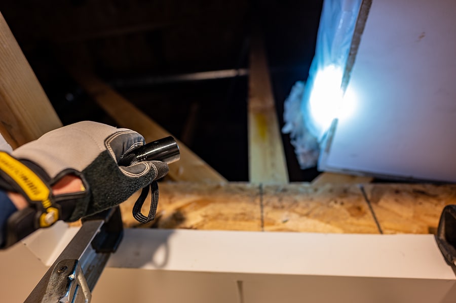 What Can a Home Inspection Reveal About Your Attic?